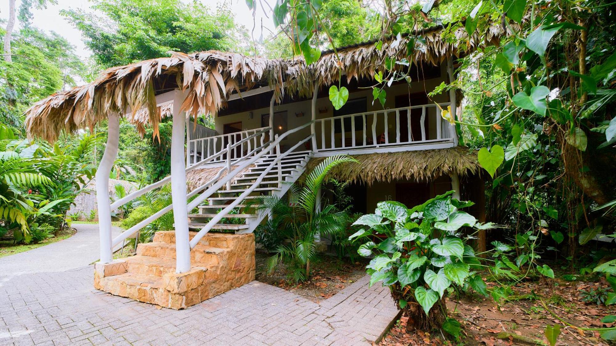 卡里布鲁海滩及丛林度假酒店 Puerto Viejo de Talamanca 客房 照片