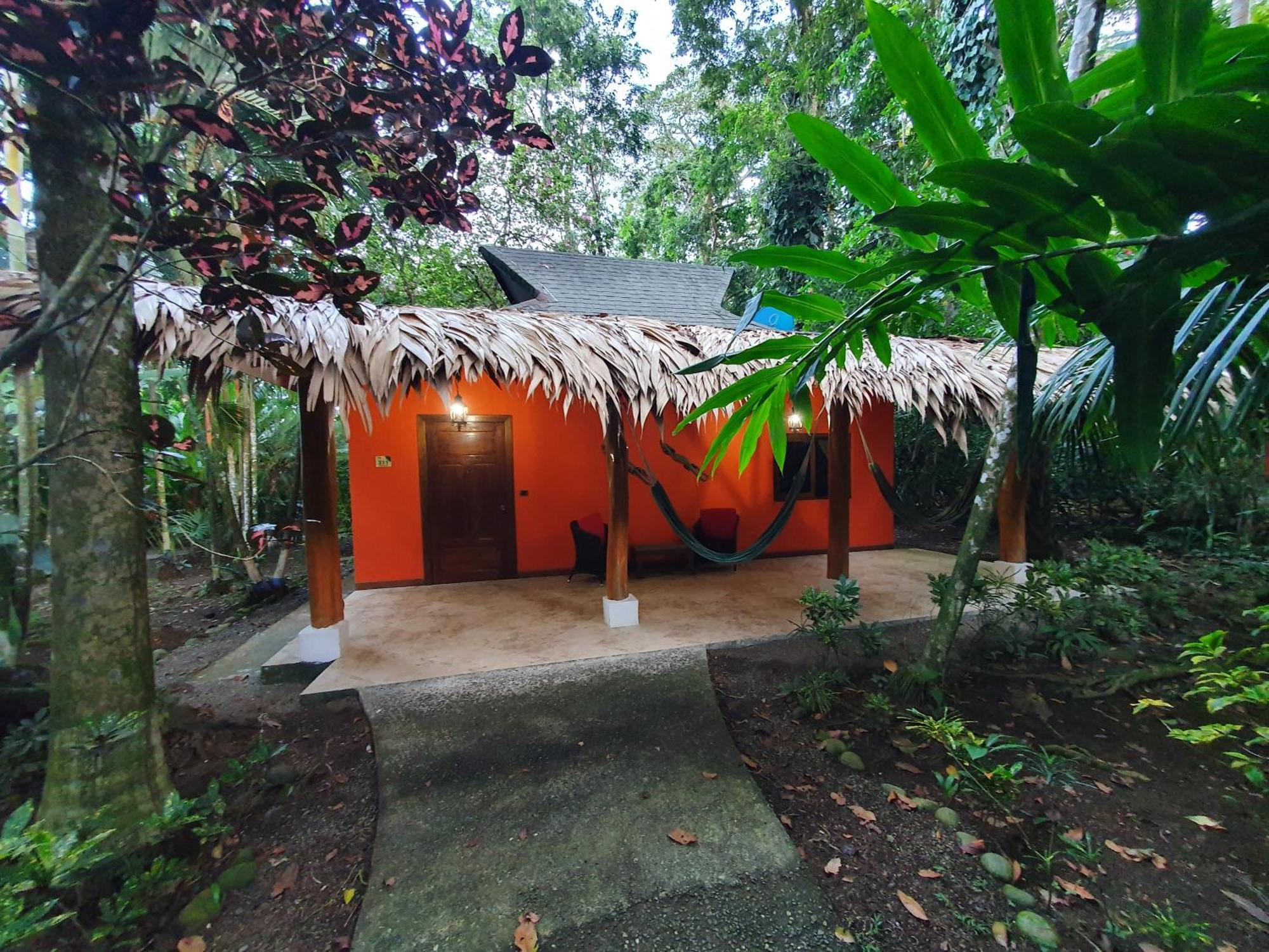 卡里布鲁海滩及丛林度假酒店 Puerto Viejo de Talamanca 客房 照片